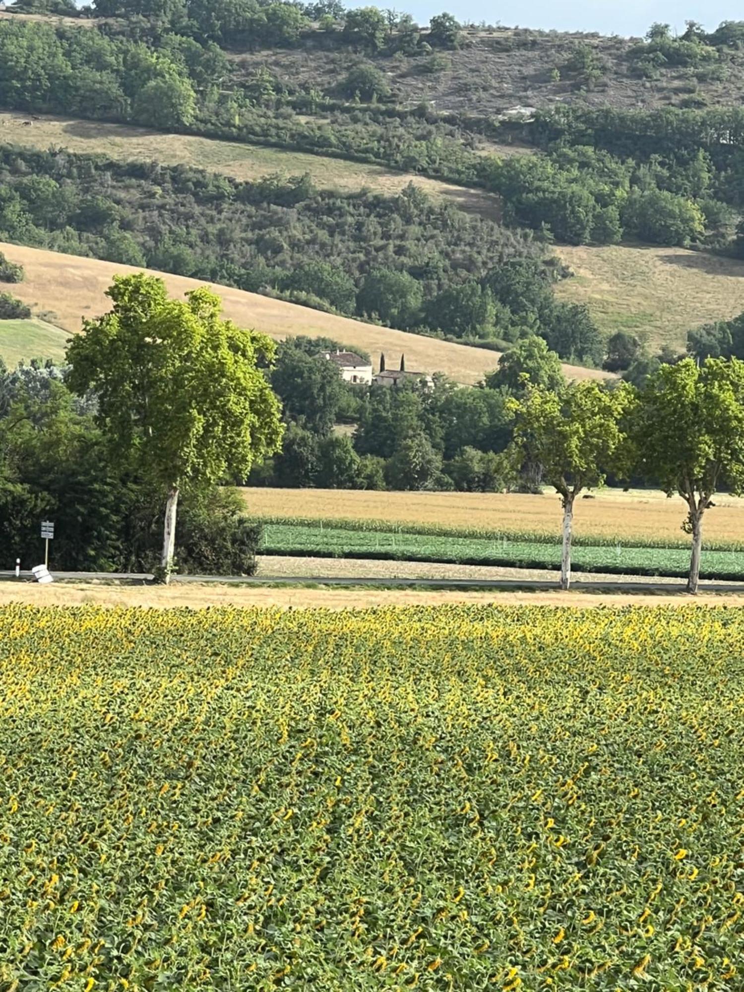 Vindrac-AlayracLa Bastide De La Bogne住宿加早餐旅馆 外观 照片